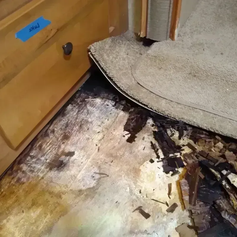 Wood Floor Water Damage in Dewey-Humboldt, AZ